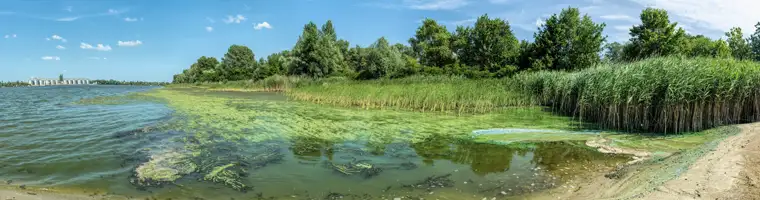 monitoring health of aquatic ecosystems