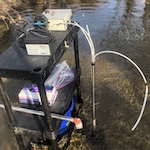 investigating pfas and pharmaceuticals in the hyporheic zone using multilevel drive-point piezometers
