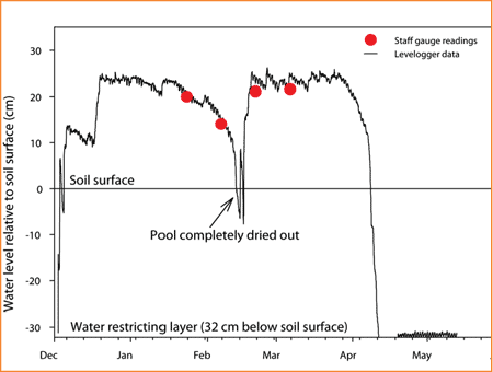 Hourly Levelogger data compared to  less frequent manual staff guage readings