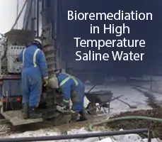 bioremediation in high temperature saline water